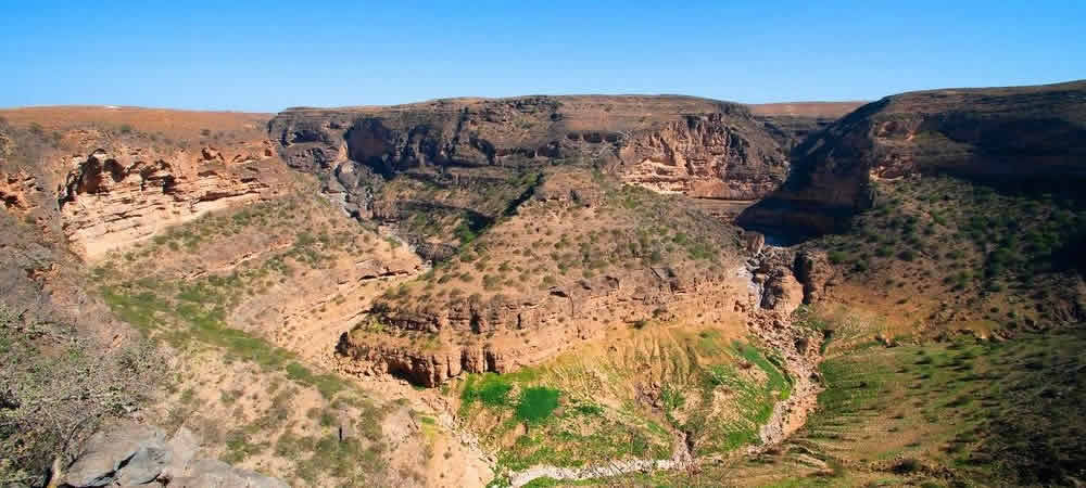 Dahariz Fruit Stands